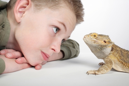 Boys love lizards.
